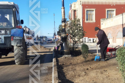 Gəncədə abadlıq işləri bu gün Şah İsmayıl Xətai prospektində görülür