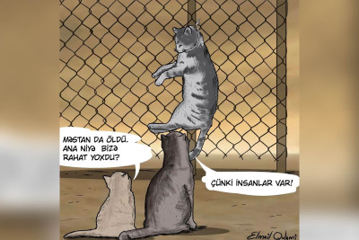 Pişik qətli ilə bağlı karikatura geniş müzakirələrə səbəb olub