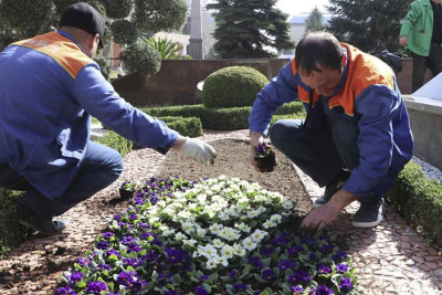 Park və xiyabanlar çiçəklərlə bəzədilir