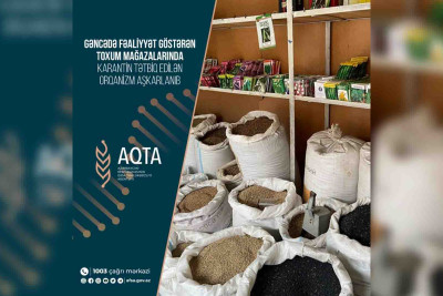 6 mağazada yüksək risk qrupuna daxil olan sirayətlənmiş toxumlar tapılıb