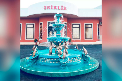 "Əriklik" restoranında qanun pozuntuları aşkarlanıb
