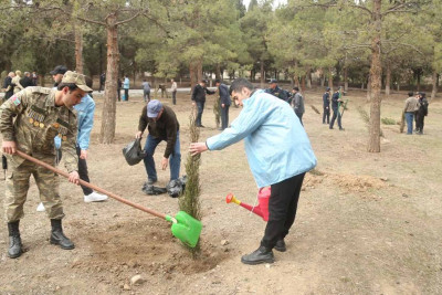 “100 ədəd ağac əkək” devizi altında aksiya baş tutub