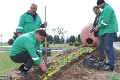 Bir sıra ərazilərə mövsümi güllər əkilib