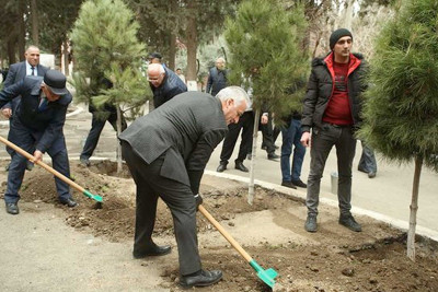 UTECA-da yaşıllaşdırma aksiyası keçirilib