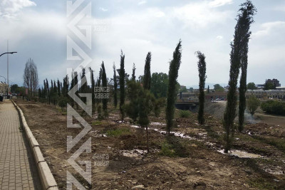 Şəhərdə yaşıllaşdırma işləri aparılır
