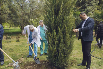 Gəncə ŞBX ağacəkmə aksiyası keçirib