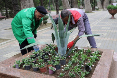 Xan bağı yeni mövsümə hazır vəziyyətə gətirilir