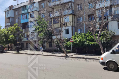 Bir çox ərazilərdə qurumuş ağaclara rast gəlinir