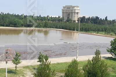 Daşmış süni gölün ətrafında təmizlik işləri aparılır