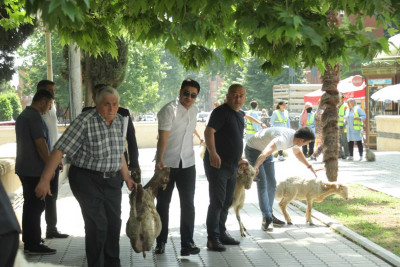 Ərdoğanın qələbəsi ilə əlaqədar qurbanlar kəsilib