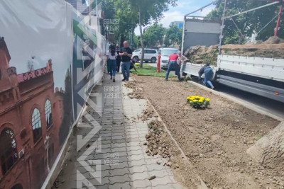 Heydər Əliyev prospektində yaşıllıq zolağı salınır