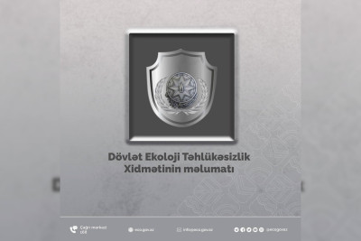 Qanunsuz gəc mineral xammalı götürən tikinti şirkəti aşkarlanıb