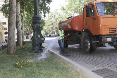 Bir sıra ərazilərdə ağaclara qulluq göstərilib