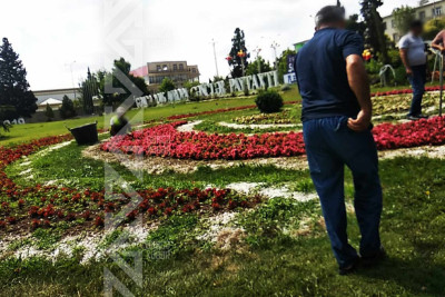 Şəhərin mərkəzində güllər əkilib