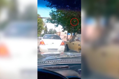 Budaqların arxasında qalan işıqfor sürücülər üçün çətinlik yaradır
