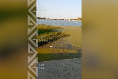 Heydər Əliyev parkındakı gölün təmizlənməyə ehtiyacı var