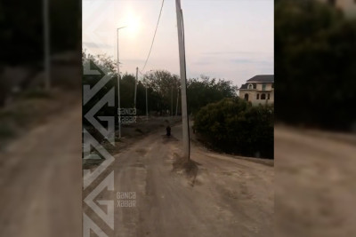 Bu küçədə elektrik dirəyi yolun ortasında yerləşir