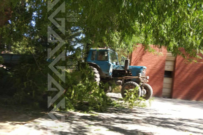 Parklardan birində budaq qırılaraq yerə düşüb