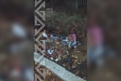 Sakinlər parklardan birindəki vəziyyətdən narahatdırlar