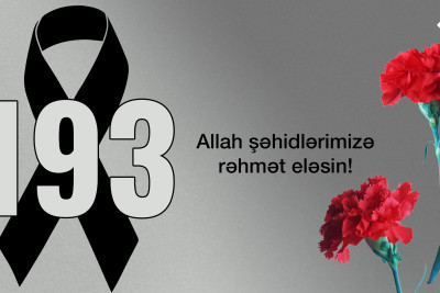 Antiterror əməliyyatları zamanı 193 nəfər şəhid olub