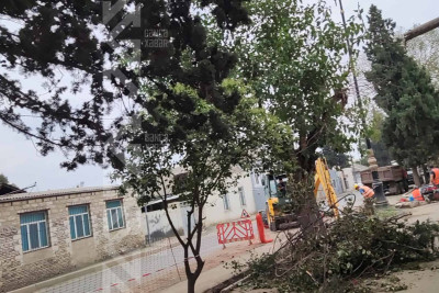 Atatürk prospektində piyadaların hərəkəti qismən məhdudlaşdırılıb