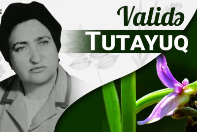 Bu gün Azərbaycanın ilk qadın akademiki Validə Tutayuqun doğum günüdür