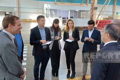 Harvard Universitetinin nümayəndə heyəti şəhərimizin qonağı olub