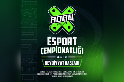 Gənclər üçün onlayn oyun çempionatı təşkil olunacaq