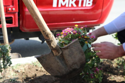 Yaşıllaşdırma şöbəsi şəhərdə mövsümi güllərin əkininə hazırlaşır