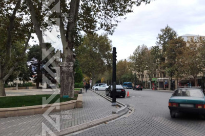 Səkiyə atılan ağac budaqları sakinləri narahat edir