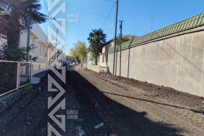 Şəhərimizin daha dörd küçəsinə asfalt örtüyü salınır