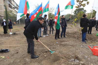 Məktəblərdən birinin həyətində ağacəkmə aksiyası keçirilib