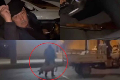 Rəsmi qurumlardan itlərin güllələnməsi xəbərinə açıqlama verilib