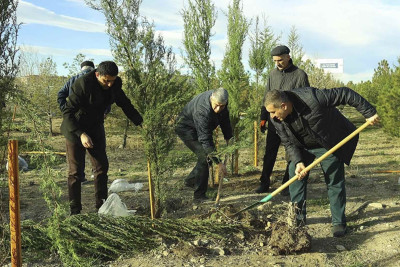 ATU kollektivi ağacəkmə aksiyasında iştirak edib