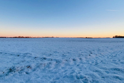 Qarın arzulanan vaxtda yağması fermerləri sevindirib