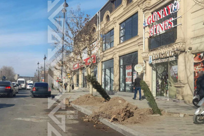 Prospektlərin birində abadlaşdırılma işləri aparılır