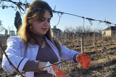 Təcrübə Stansiyasında aqrotexniki torpaq becərmə işləri görülür