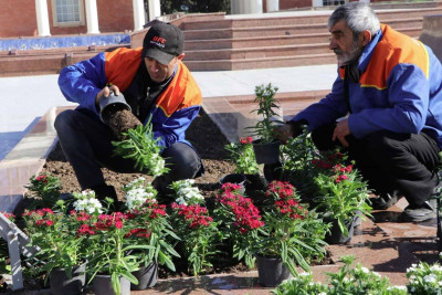 Bir sıra ərazilər mövsümi güllərlə bəzədilib