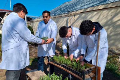 Tələbələr təlimdə iştirak ediblər