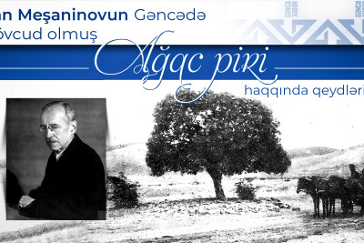 Akademik İvan Meşaninovun Gəncədə mövcud olmuş ağac piri haqqında qeydləri
