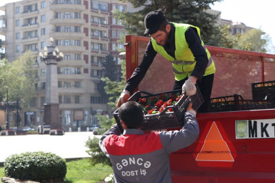 Şəhərin mərkəzində abadlıq işləri aparılıb