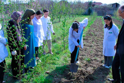 ADAU-nun magistr tələbələrinə biznes üçün dəstək verilib