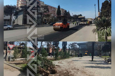 Şah İsmayıl Xətai prospekti abadlaşdırılır