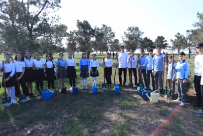 Məktəblilər ağacəkmə aksiyasında iştirak ediblər