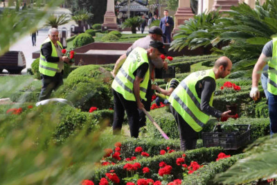 Şəhərin bir sıra ərazilərinə mövsümi güllər əkilib