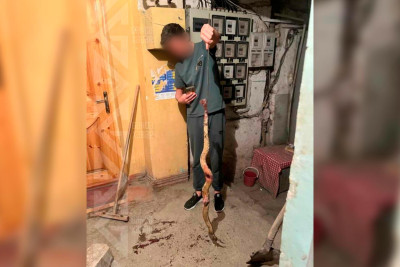 Yaşayış binasında peyda olan ilan sakinləri təşvişə salıb