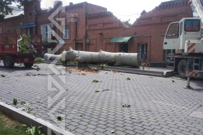 Güclü küləyin fəsadlarının aradan qaldırılması üzrə işlər aparılır