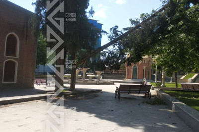 Güclü külək çox sayda fəsadlar törədir