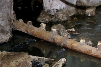 Binada köhnəlmiş və tutulmuş borular kommunal problemə yol açıb