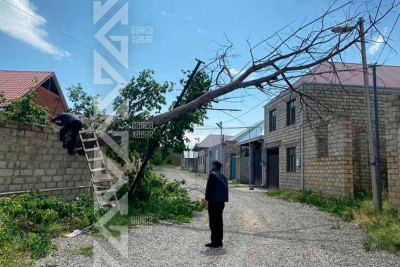 Əyilmiş dirək sakinlər üçün təhlükə yaradır